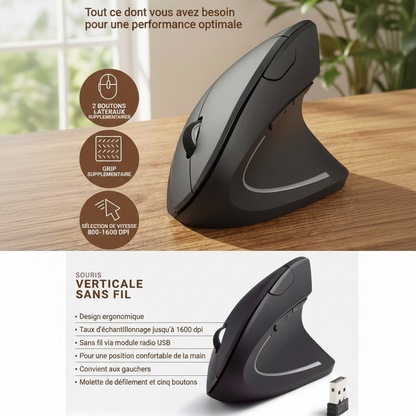 Souris sans fil ergonomique pour usage professionnel quotidien