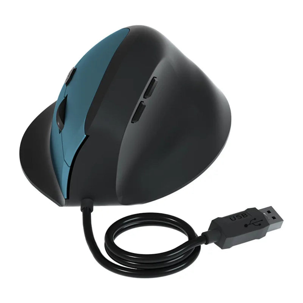 Installation simple d'une souris verticale filaire connectée par USB à un ordinateur portable pour un usage immédiat.
