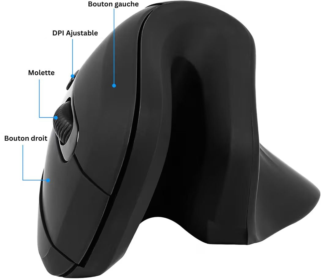 Souris verticale connectée sans fil à un ordinateur portable en mode plug and play