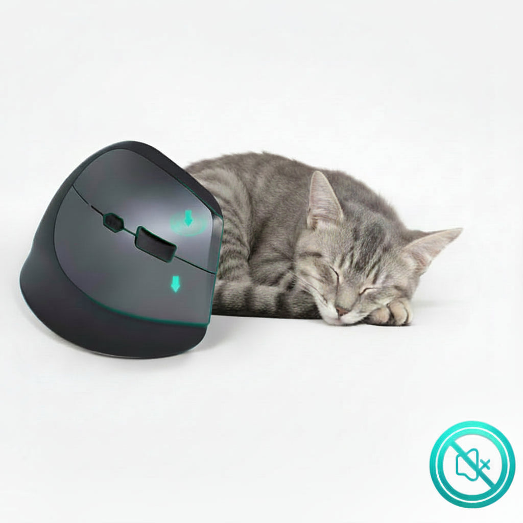 Souris verticale rechargeable avec connexion plug and play sans installation compliquée