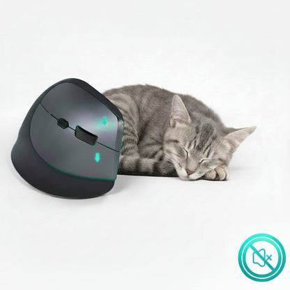 Souris verticale rechargeable avec connexion plug and play sans installation compliquée
